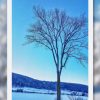es10002 d winter tree